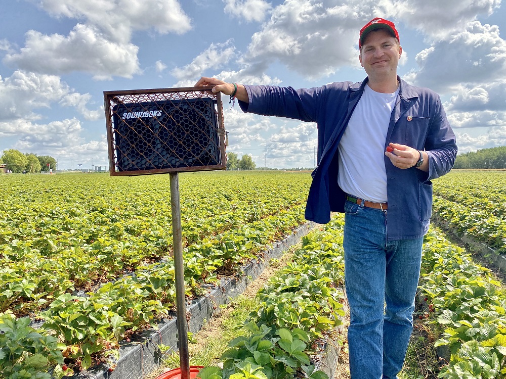 Erdbeeren im Einklang: Karls Erdbeer-Hof erforscht den Einfluss von Musik auf die Vitalität der Früchte