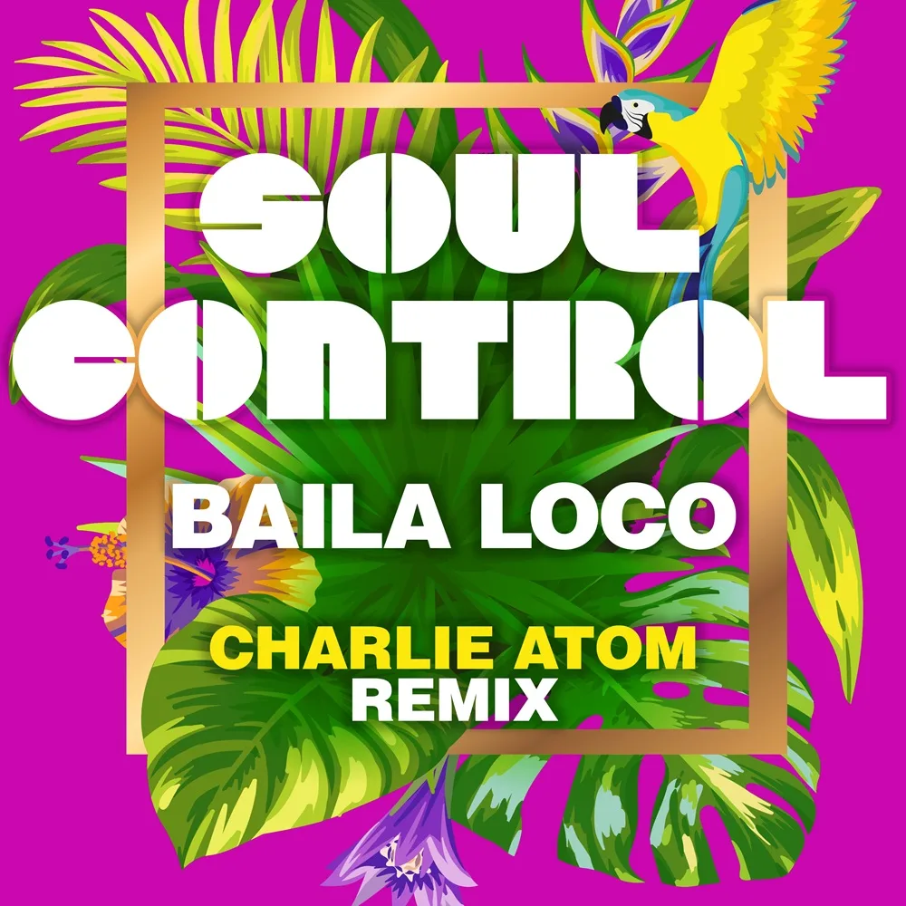 Soul Control – Baila Loco (Charlie Atom Remix)