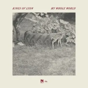 Kings Of Leon – My Whole World
